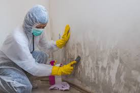 Trusted Hinton, OK Mold Remediation Experts